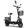 Rolektro, E-Joy 20, Schwarz, 36V-12AH Blei-Gel Akkus, 500 Watt