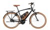 Riese & Müller Cruiser2